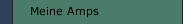 Meine Amps